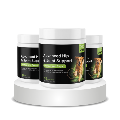 Advanced Hip & Joint Support™